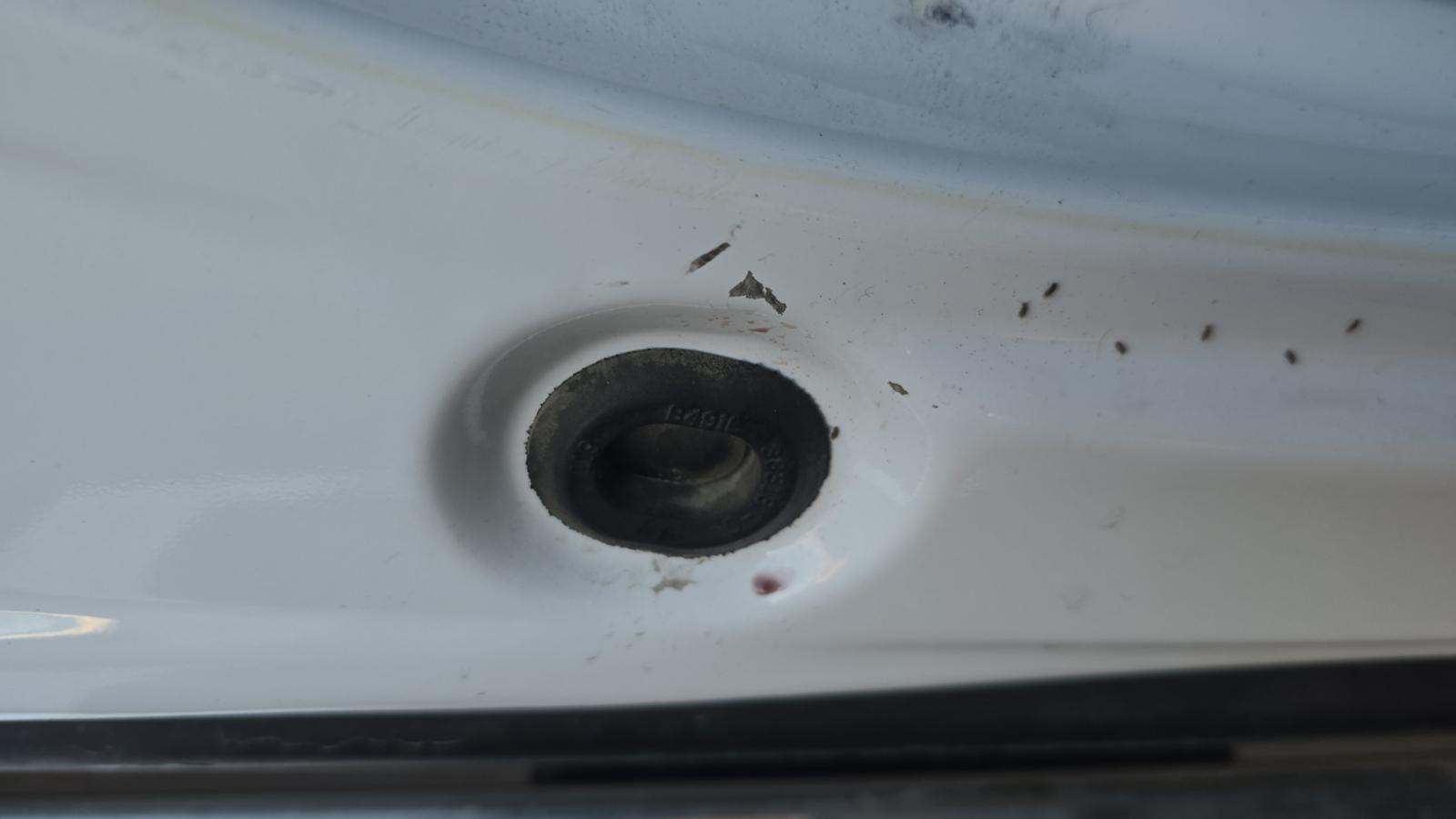 2024 Ford F-150 XLT AWD