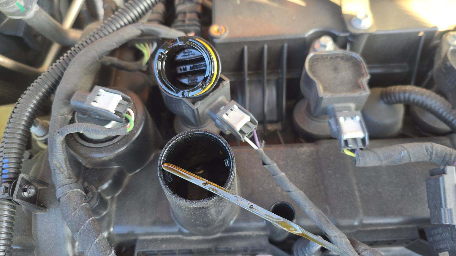 2022 Ford Escape Hybrid SEL FWD