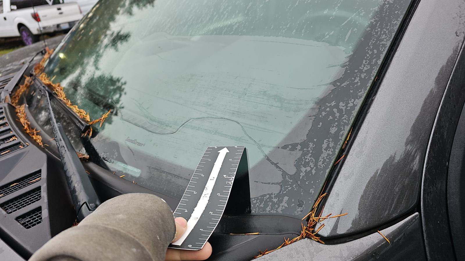 2019 Ford F-150 XLT AWD