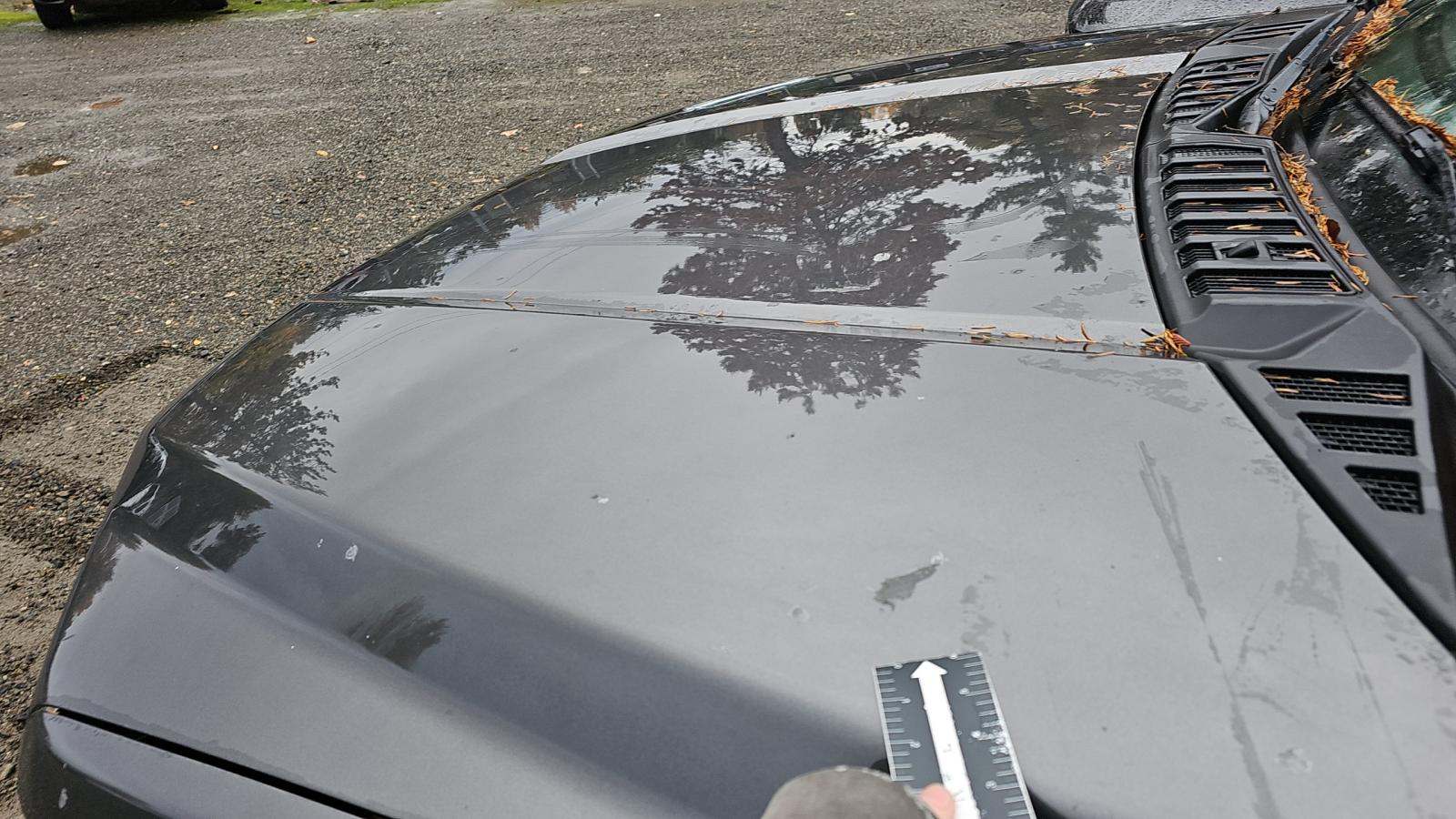 2019 Ford F-150 XLT AWD