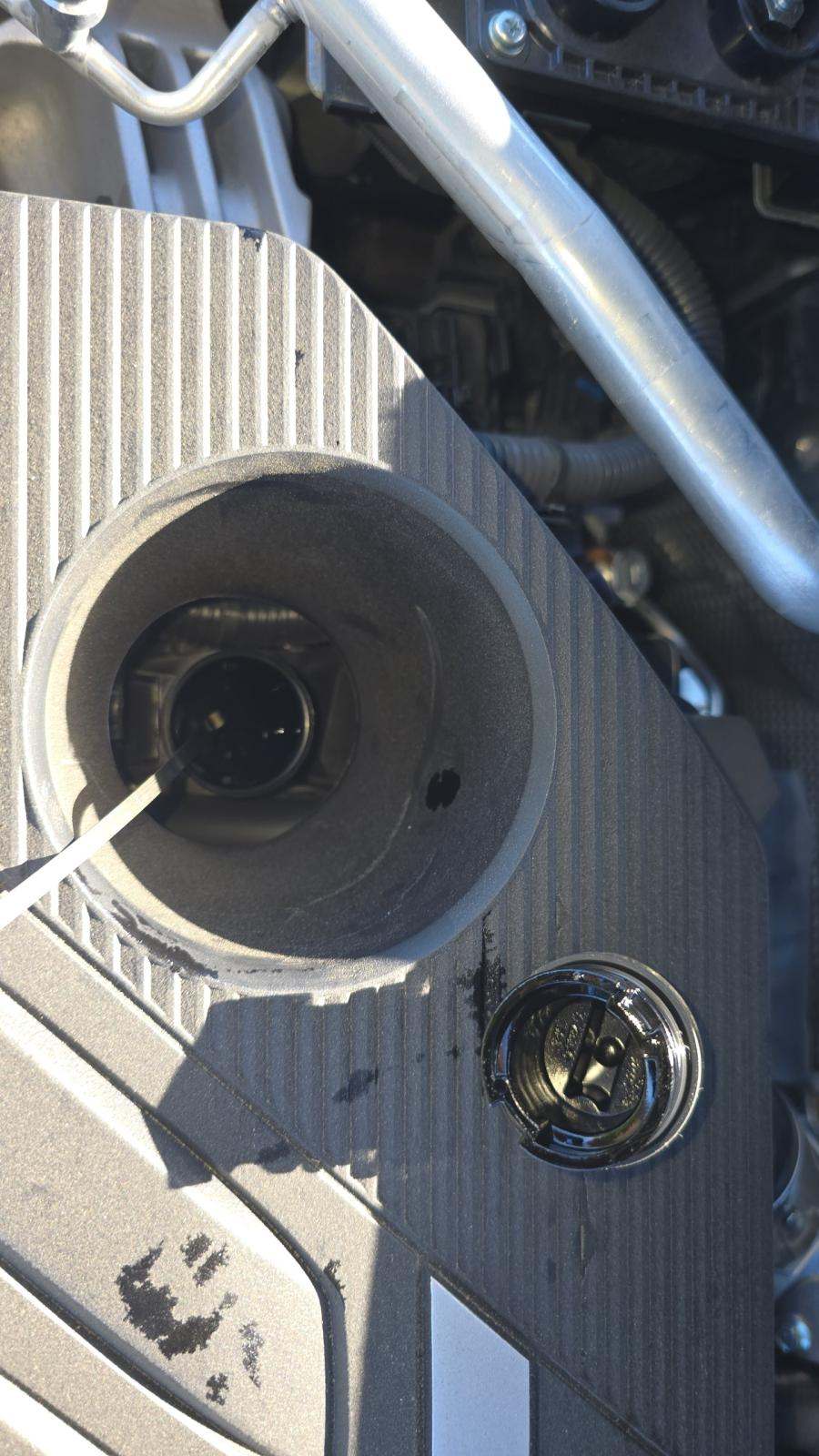 2025 Nissan Rogue SL FWD