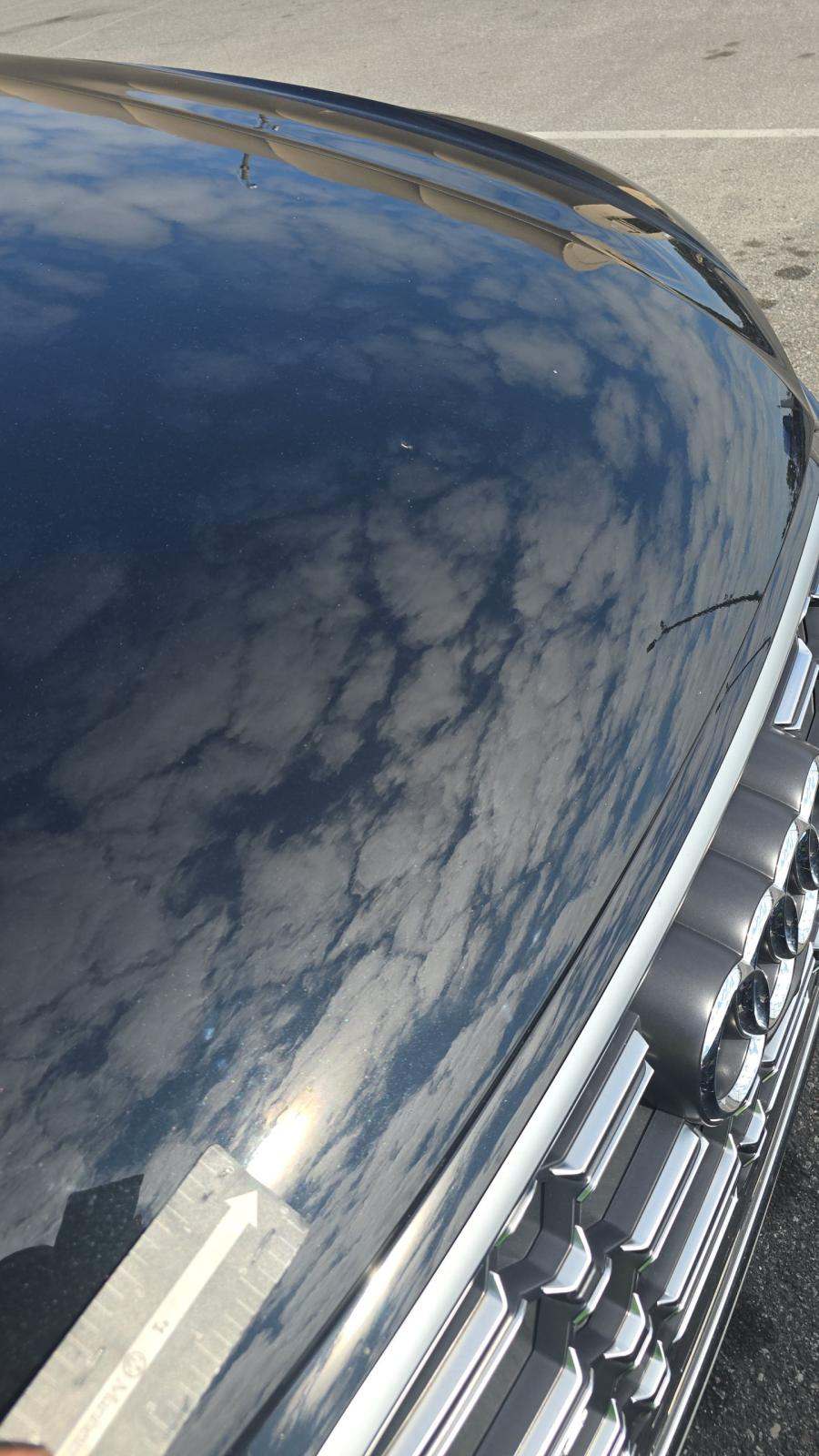 2023 Audi SQ5 Premium Plus AWD