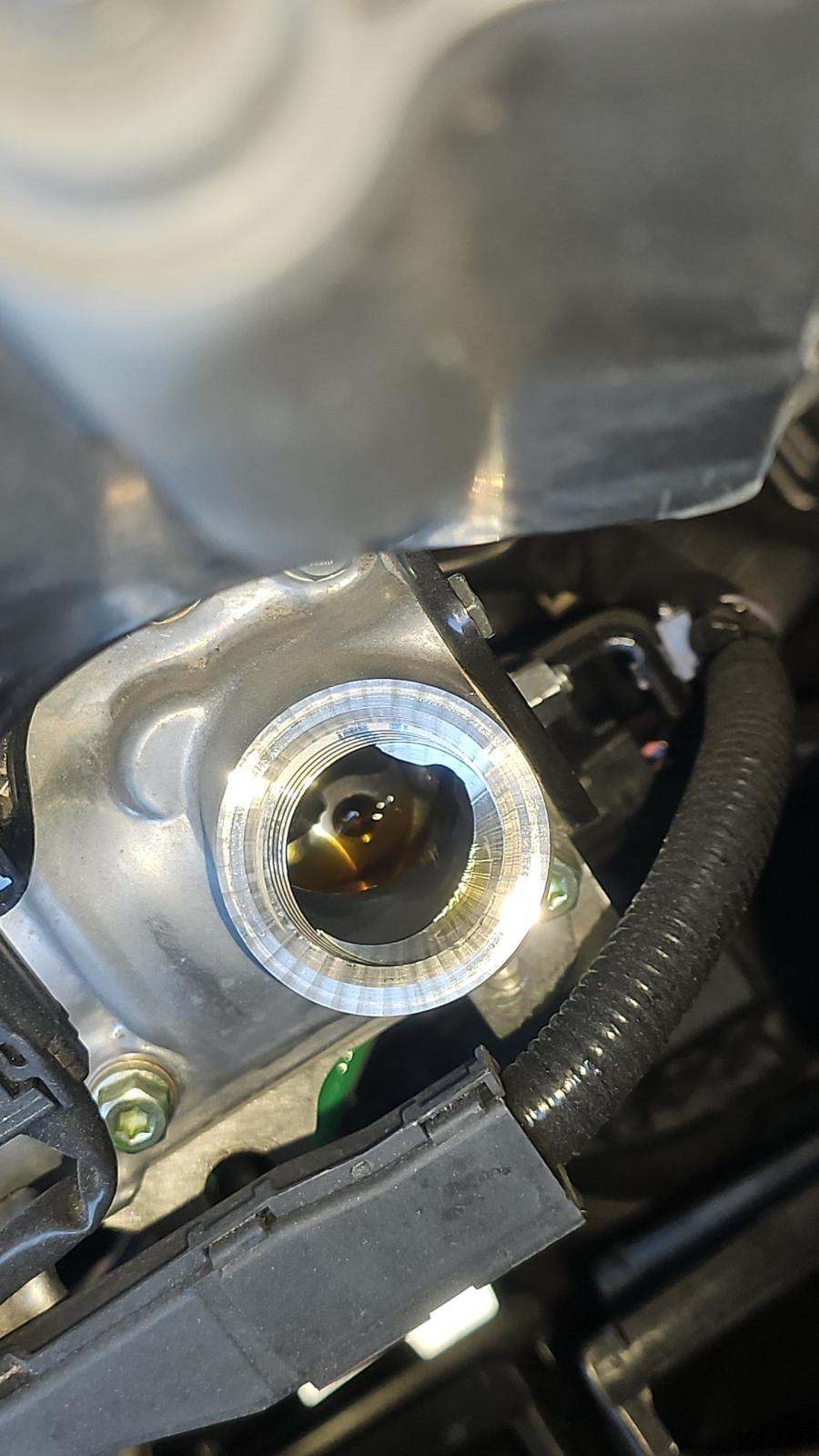 2025 Honda Pilot Black Edition AWD