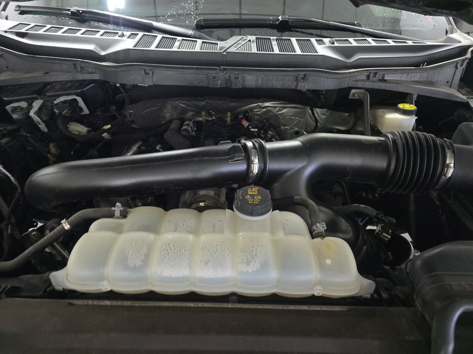 2024 Ford F-150 XLT AWD