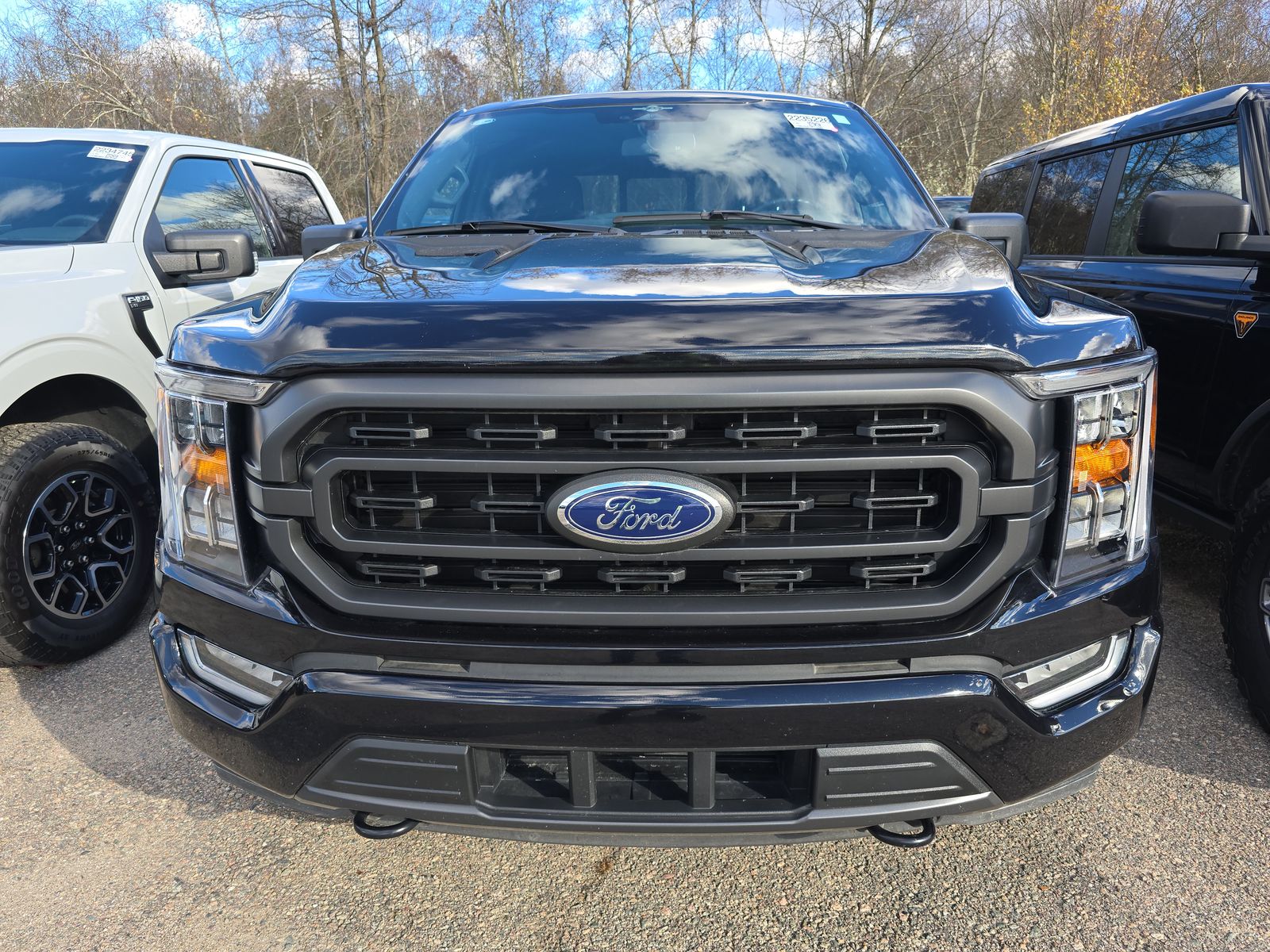 2023 Ford F-150 XLT AWD