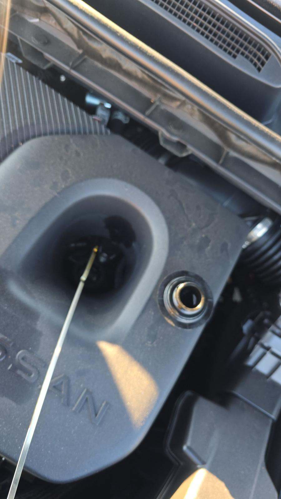 2025 Nissan Murano Platinum AWD