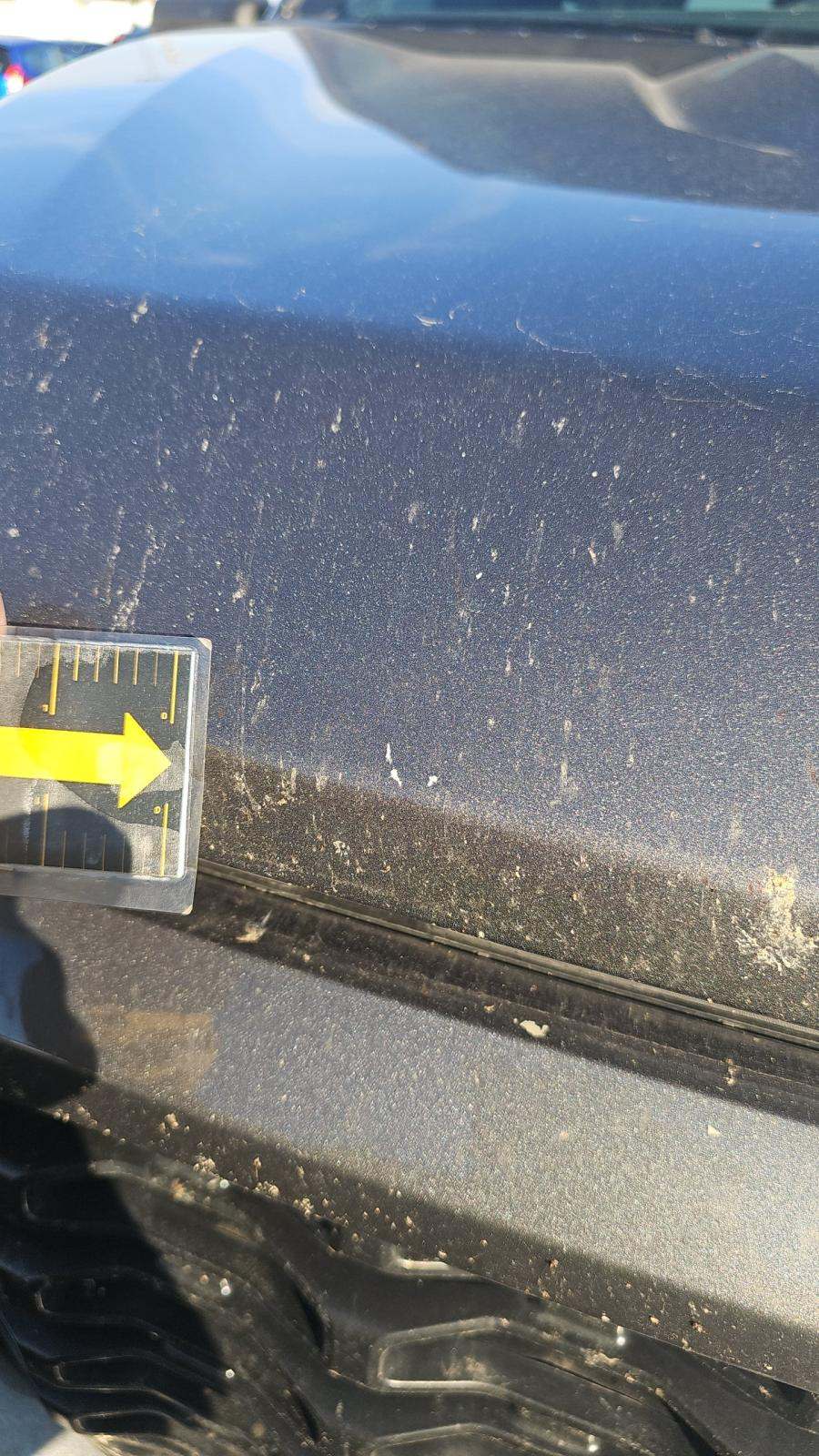 2023 Ford F-150 XL AWD