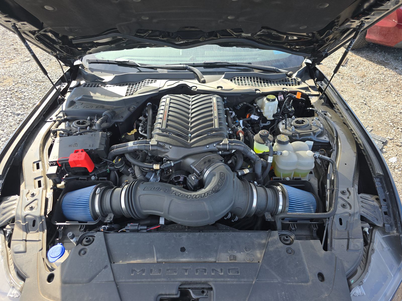 2024 Ford Mustang GT RWD