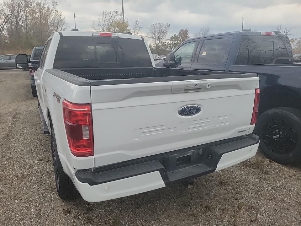 2023 Ford F-150 XLT AWD