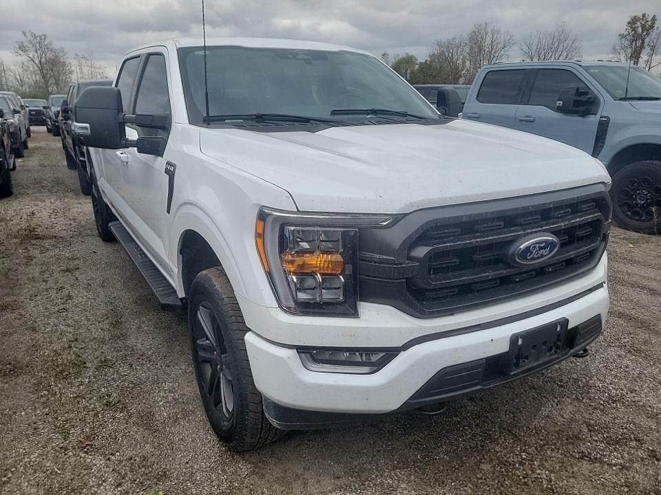 2023 Ford F-150 XLT AWD