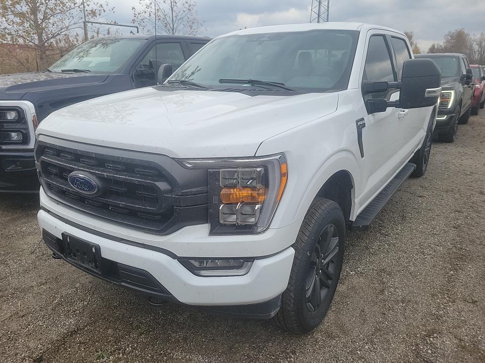 2023 Ford F-150 XLT AWD