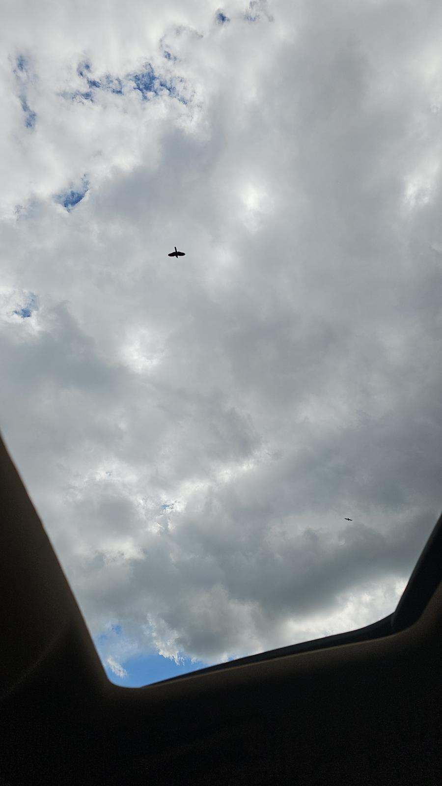 2016 Porsche Panamera S RWD