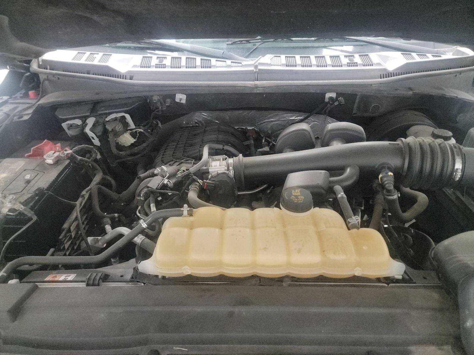 2019 Ford F-150 XLT RWD