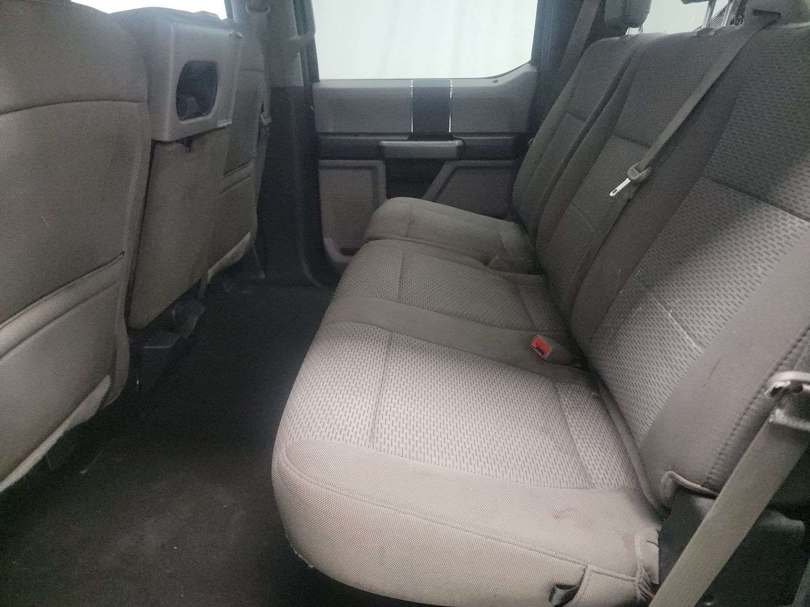 2019 Ford F-150 XLT RWD