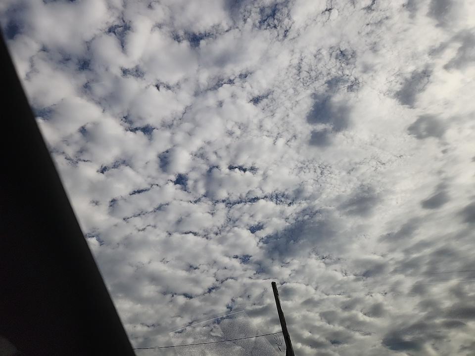 2025 Kia Sorento Hybrid SX Prestige AWD