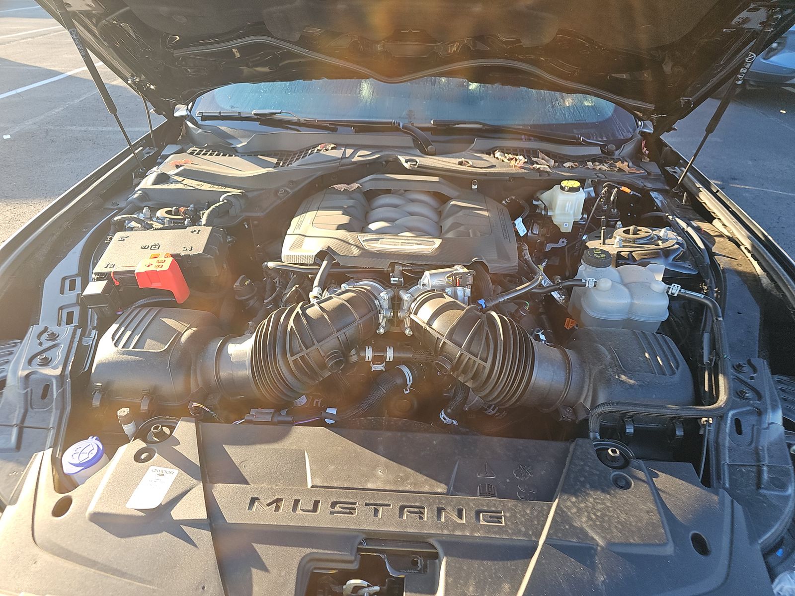 2025 Ford Mustang GT Premium RWD