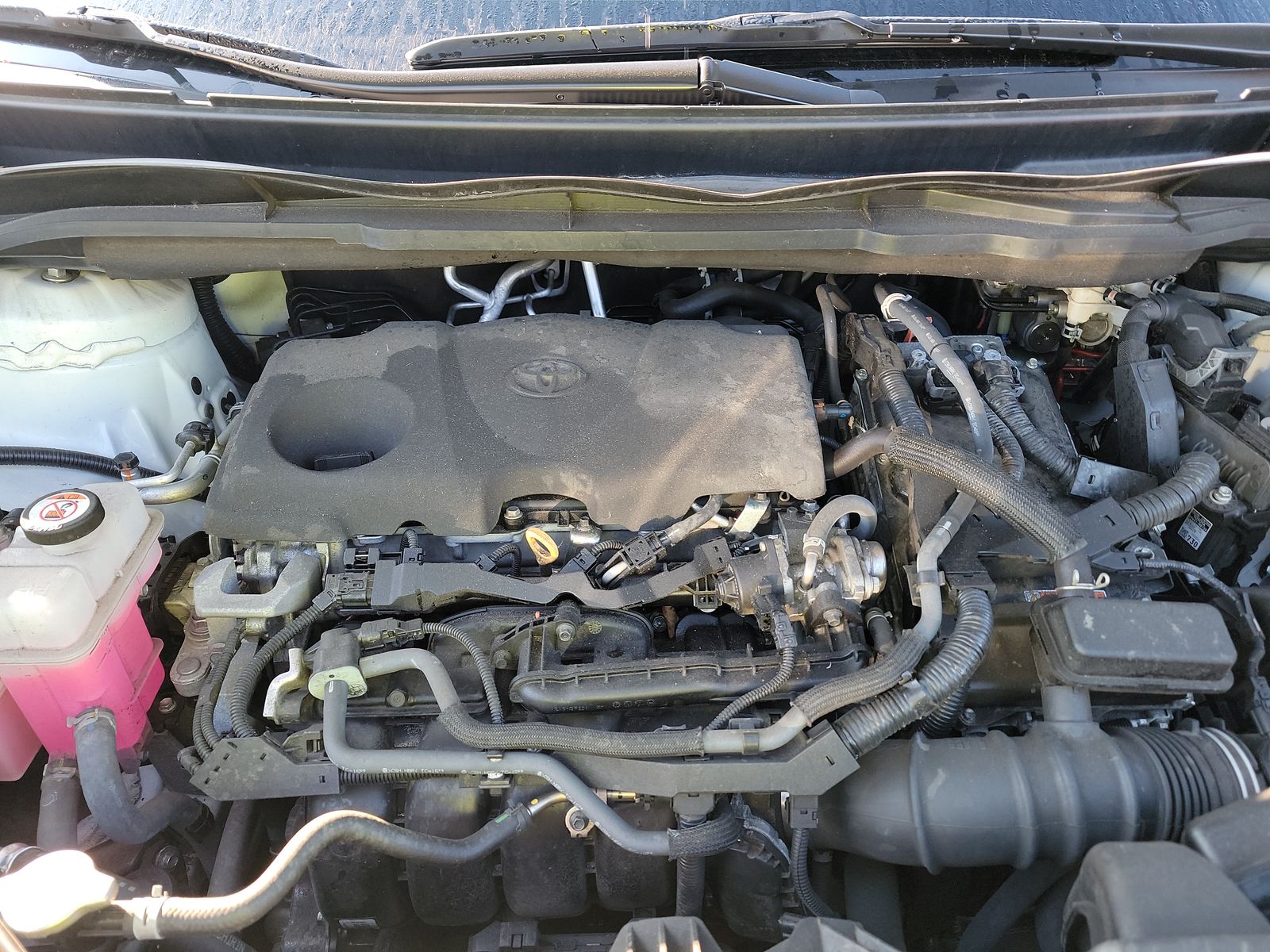 2023 Toyota Sienna LE FWD