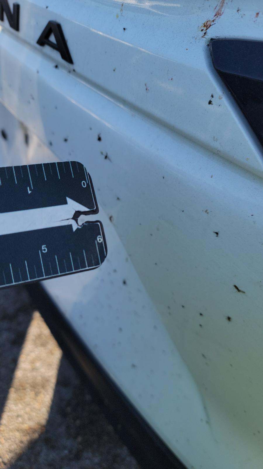 2023 Toyota Sienna LE FWD