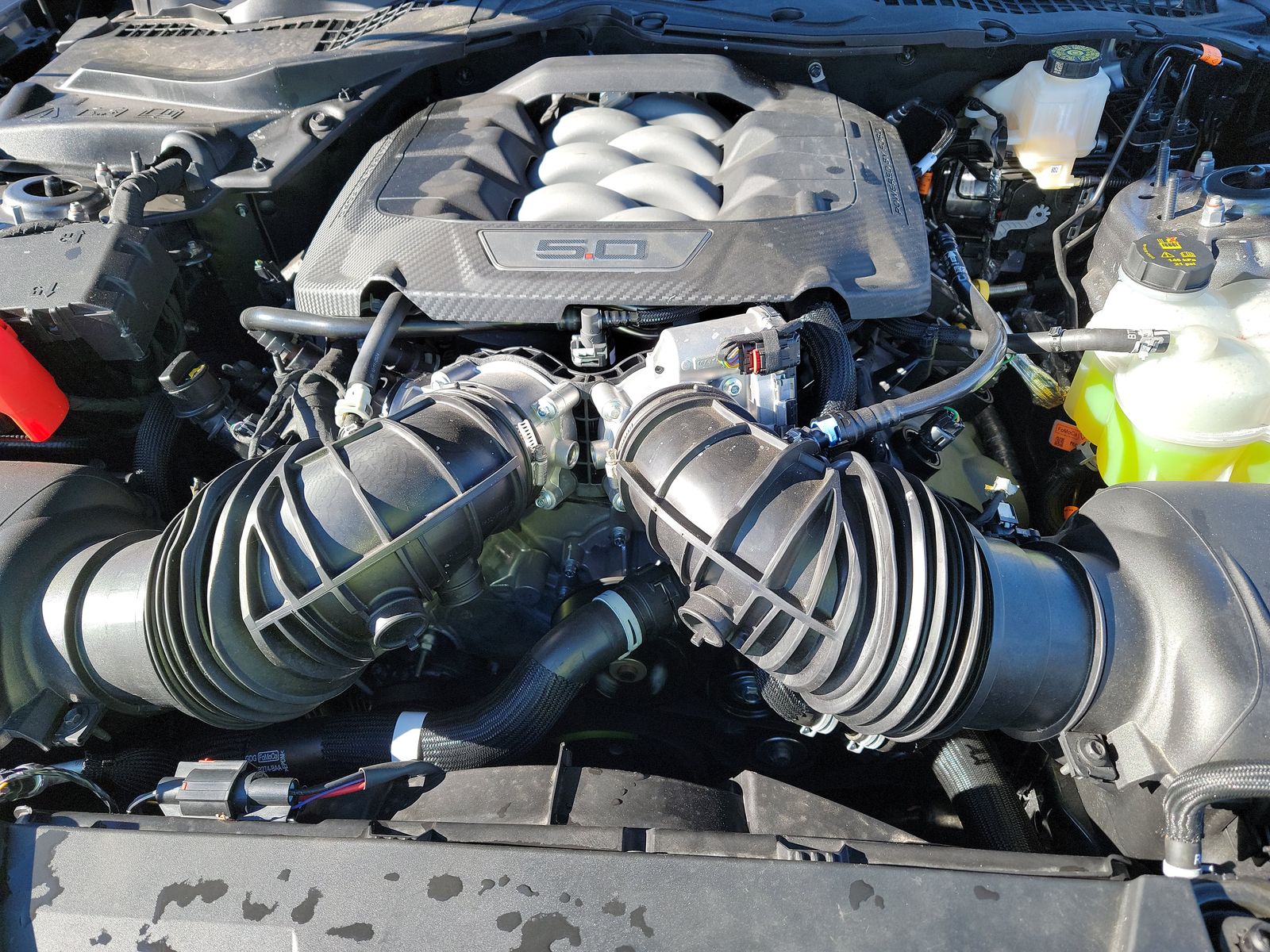 2025 Ford Mustang GT RWD