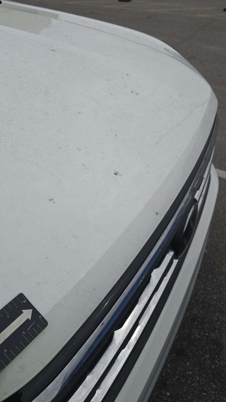 2023 Volkswagen Atlas 3.6L SE FWD