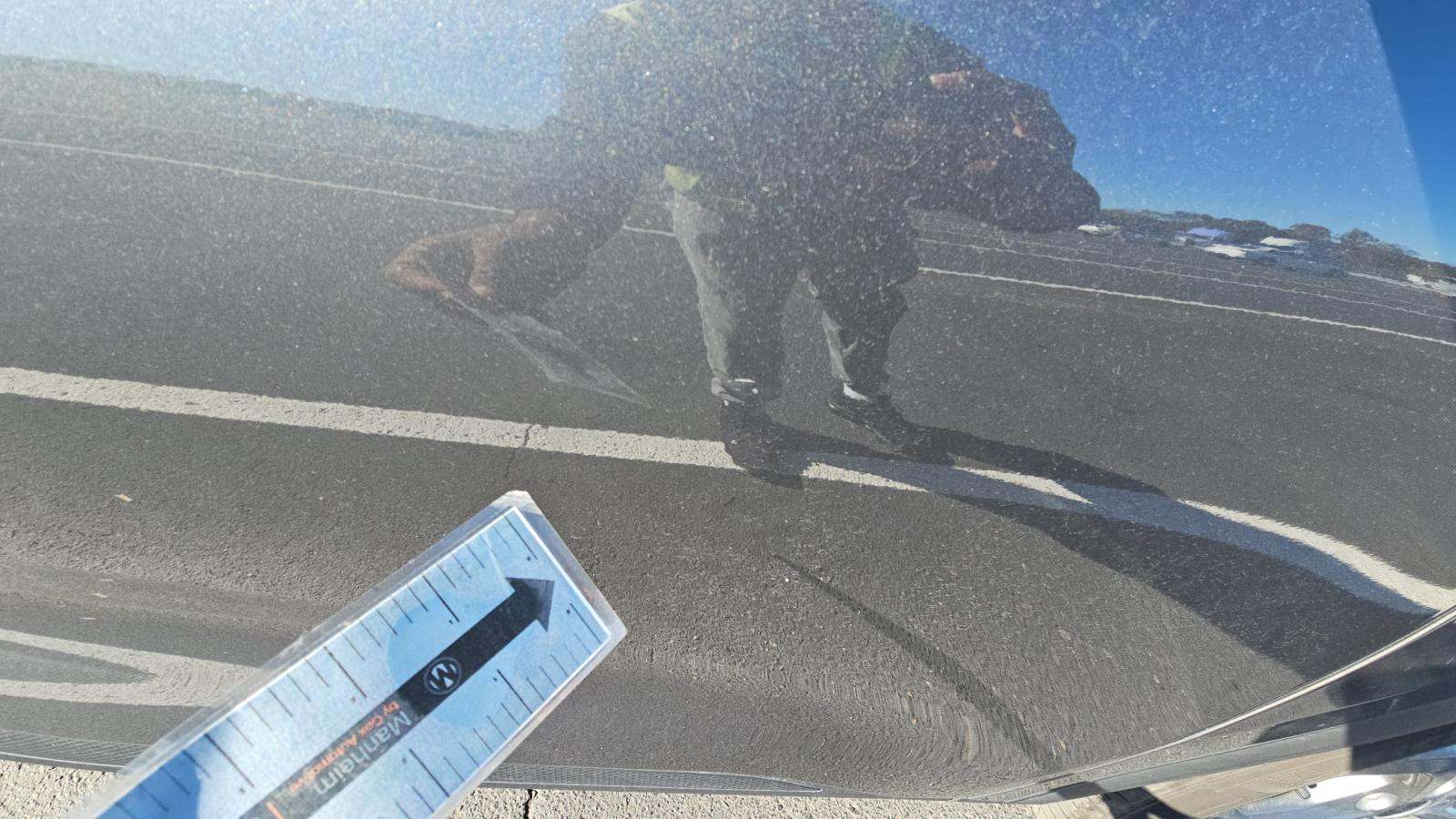 2025 Ford Escape Hybrid ST-Line Elite AWD