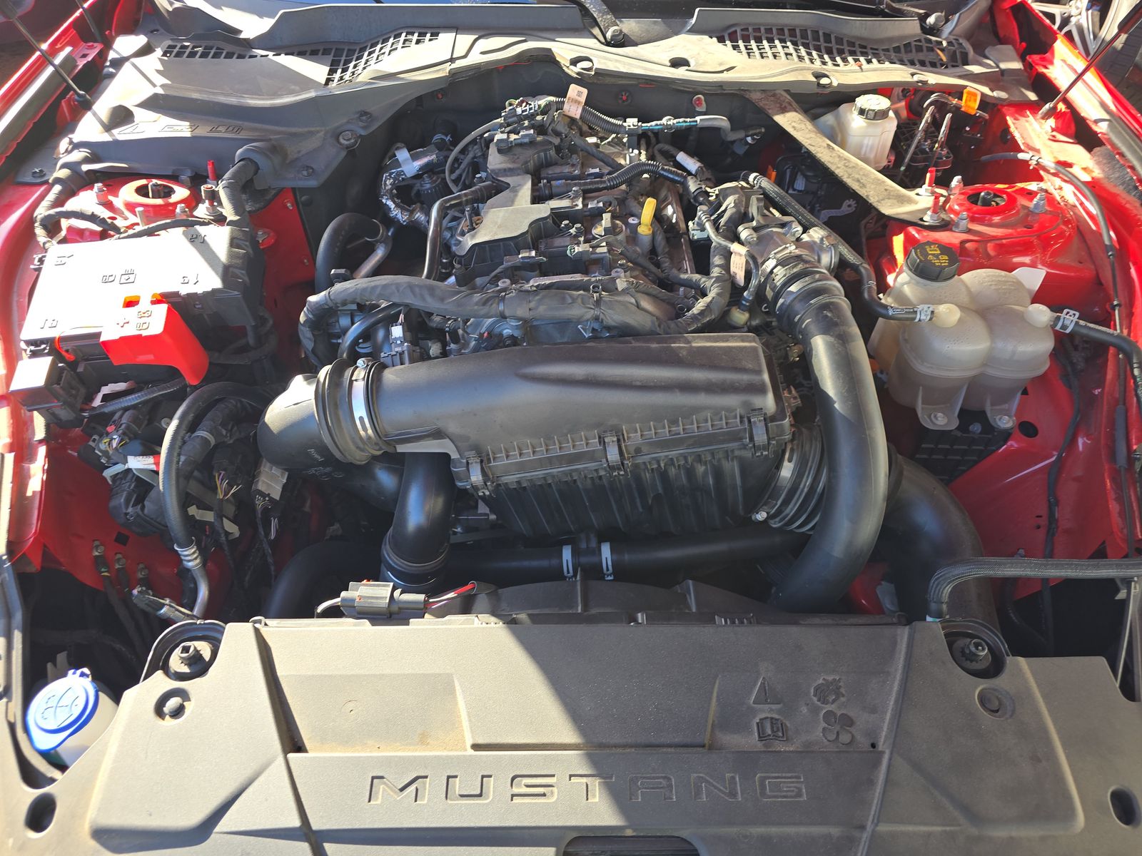 2024 Ford Mustang EcoBoost Premium RWD