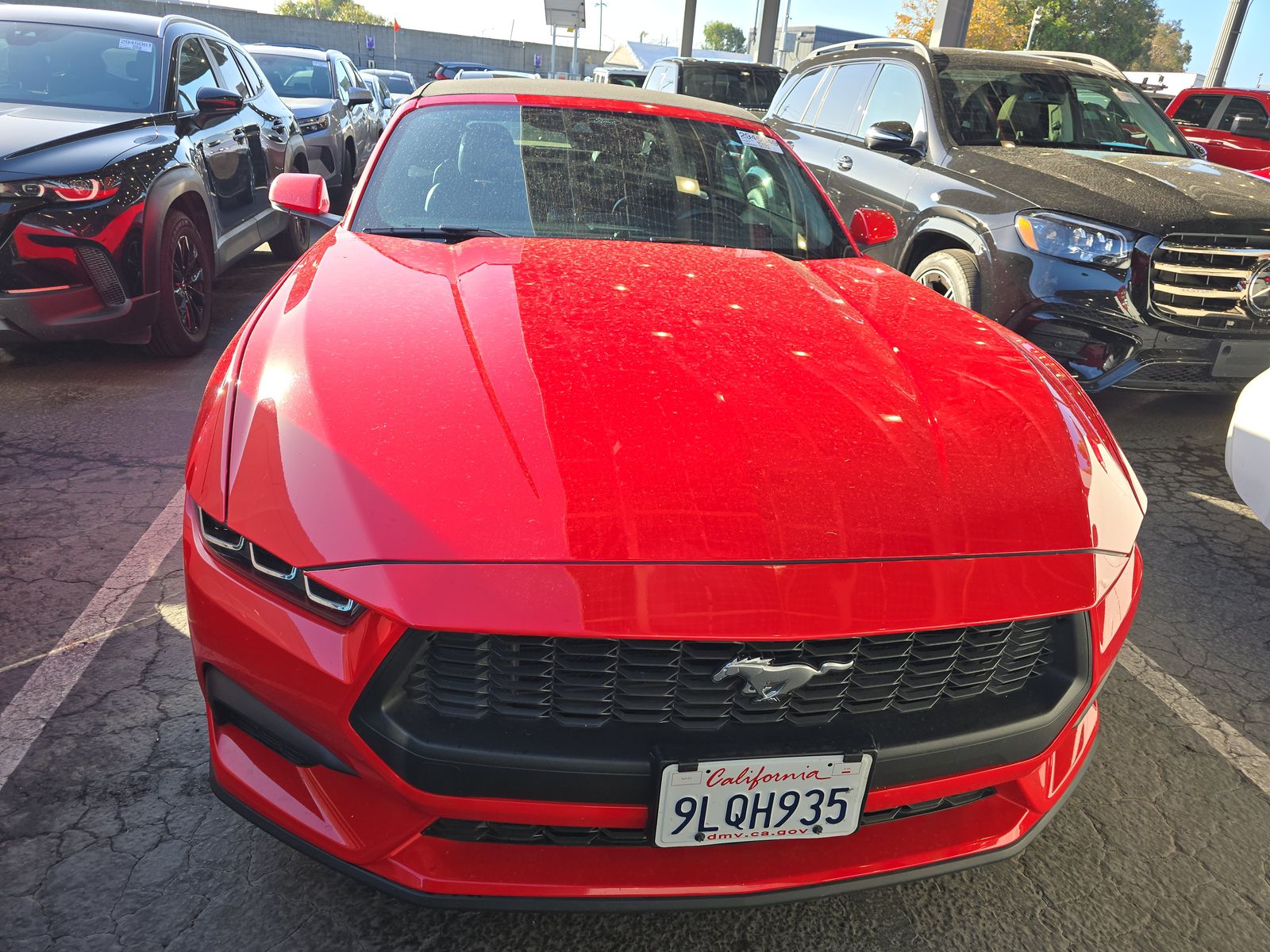 2024 Ford Mustang EcoBoost Premium RWD