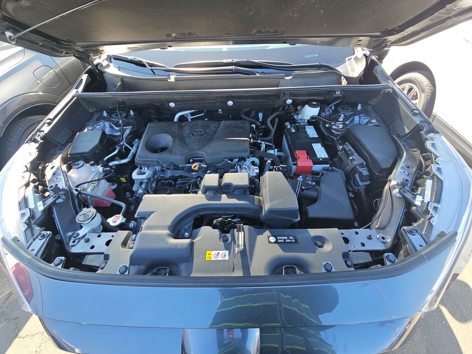 2024 Toyota RAV4 XLE AWD