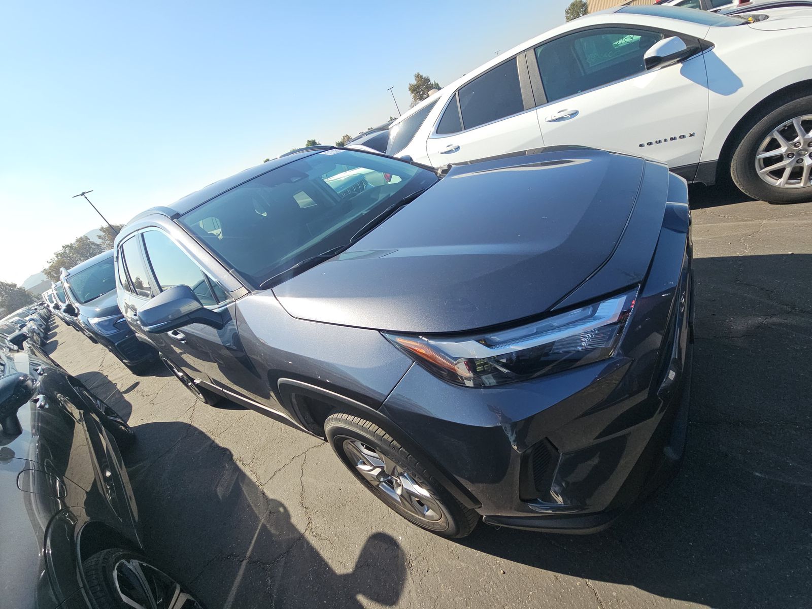 2024 Toyota RAV4 XLE AWD