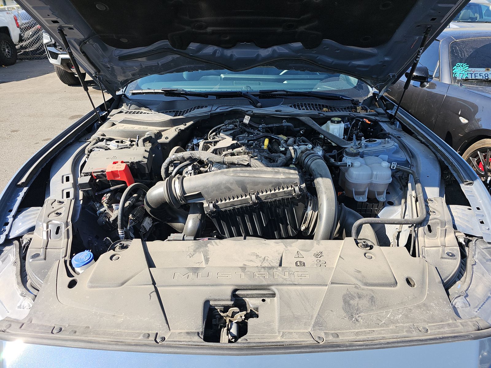 2024 Ford Mustang EcoBoost Premium RWD