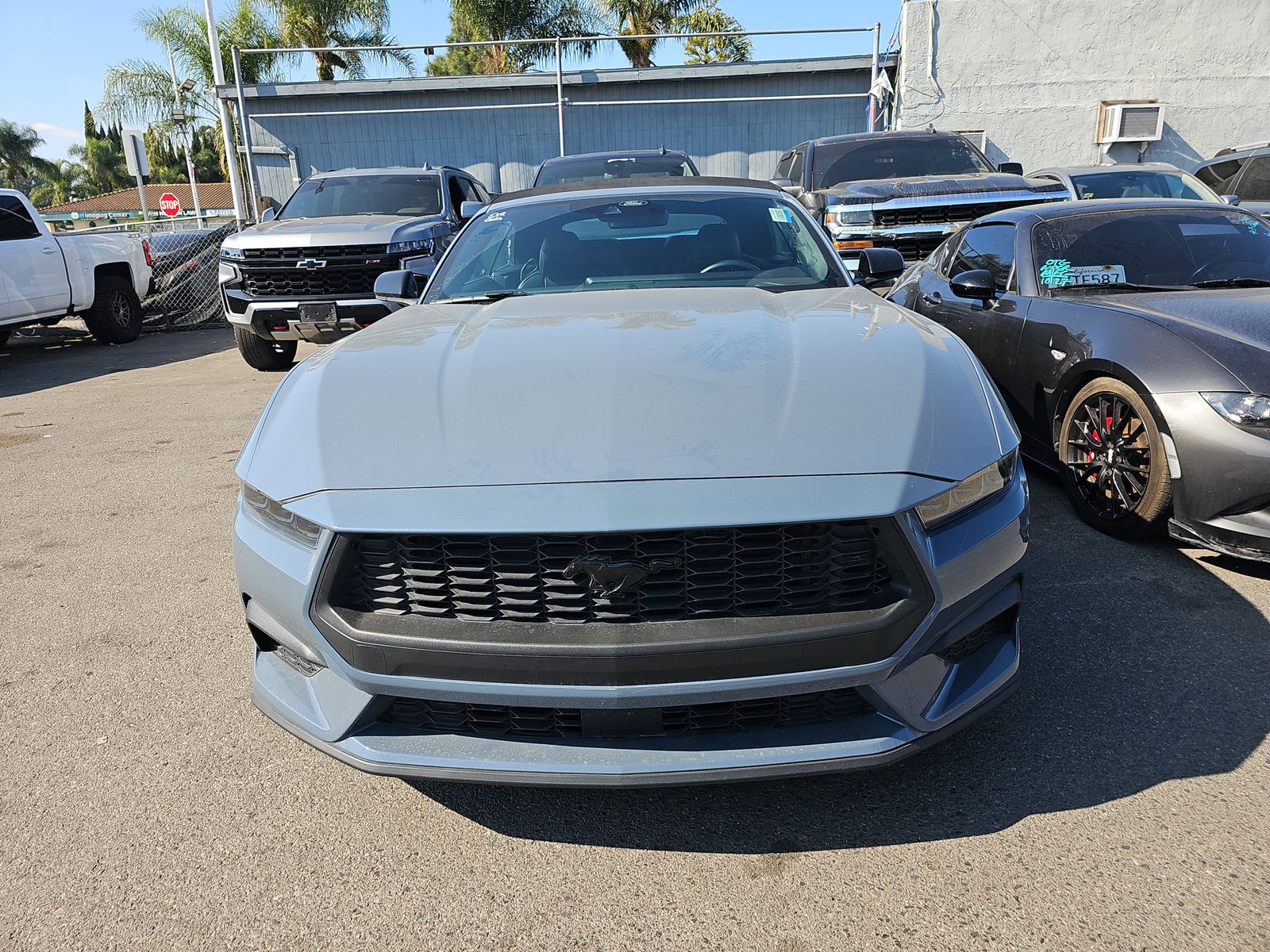 2024 Ford Mustang EcoBoost Premium RWD