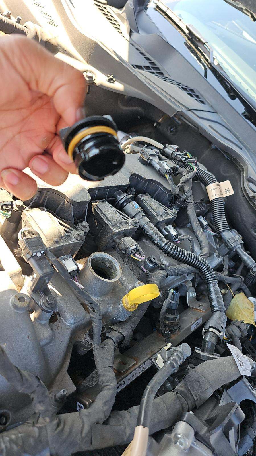 2024 Ford Mustang EcoBoost Premium RWD