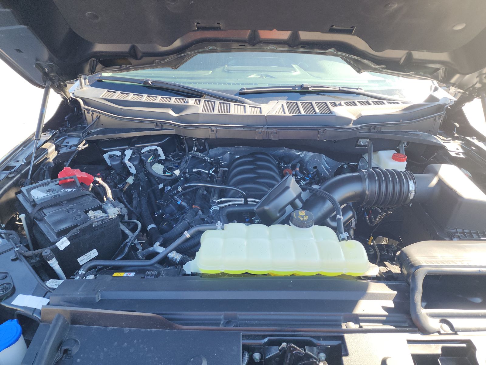 2025 Ford F-150 XLT RWD