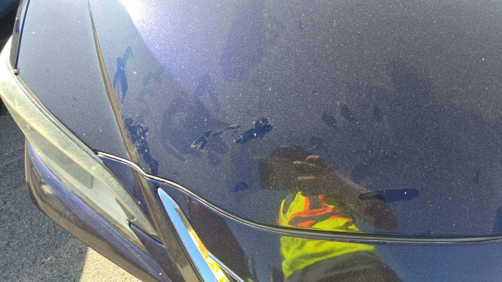 2019 Lexus ES ES 350 FWD