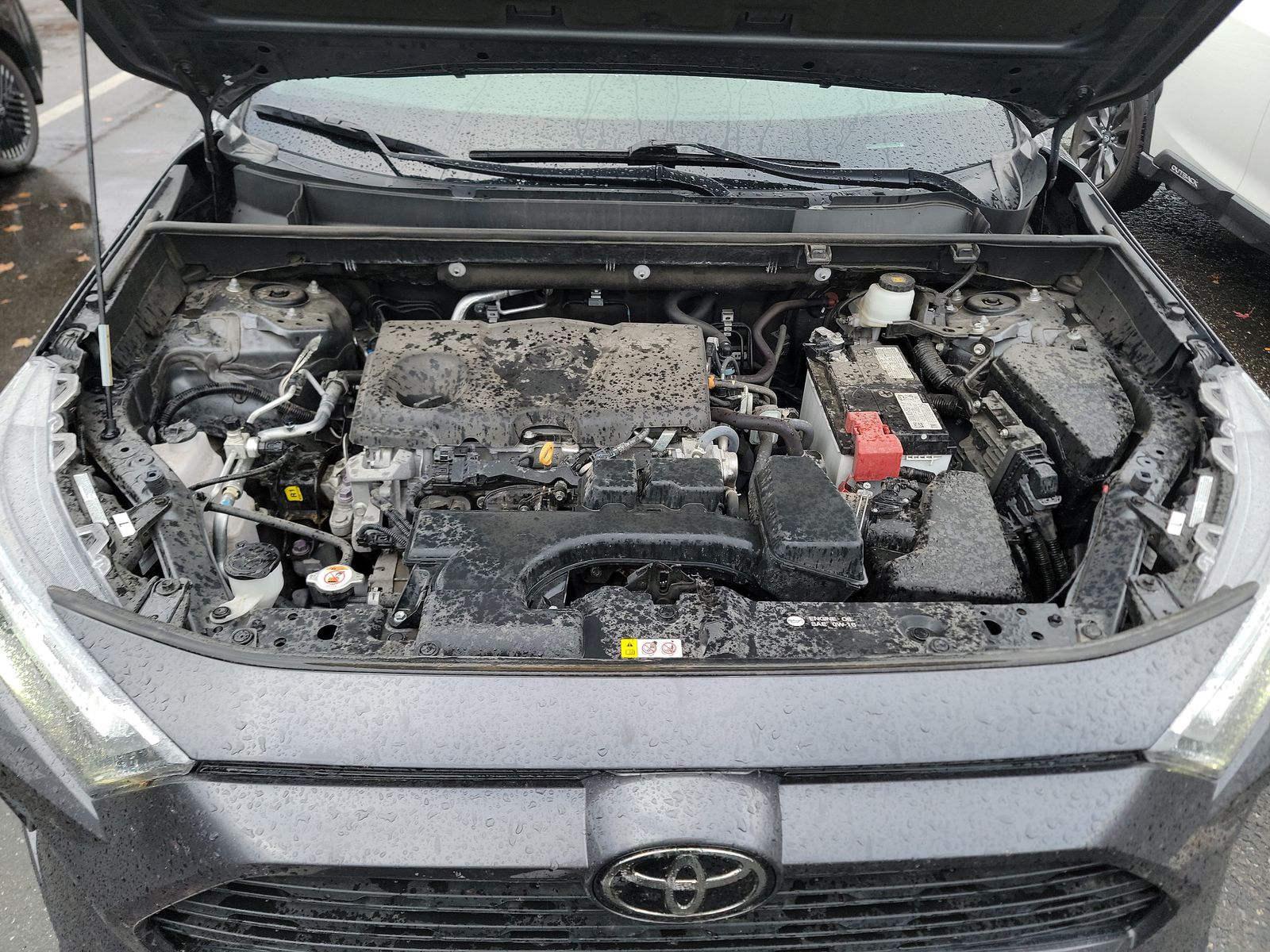 2023 Toyota RAV4 XLE AWD