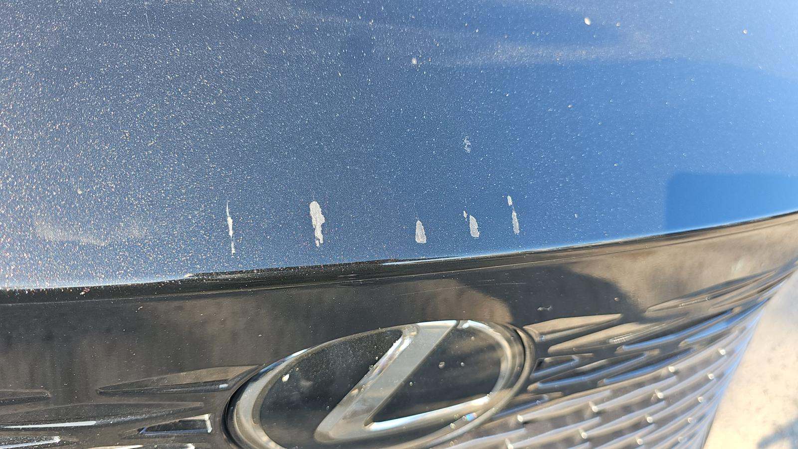 2024 Lexus RX RX 350 Luxury FWD