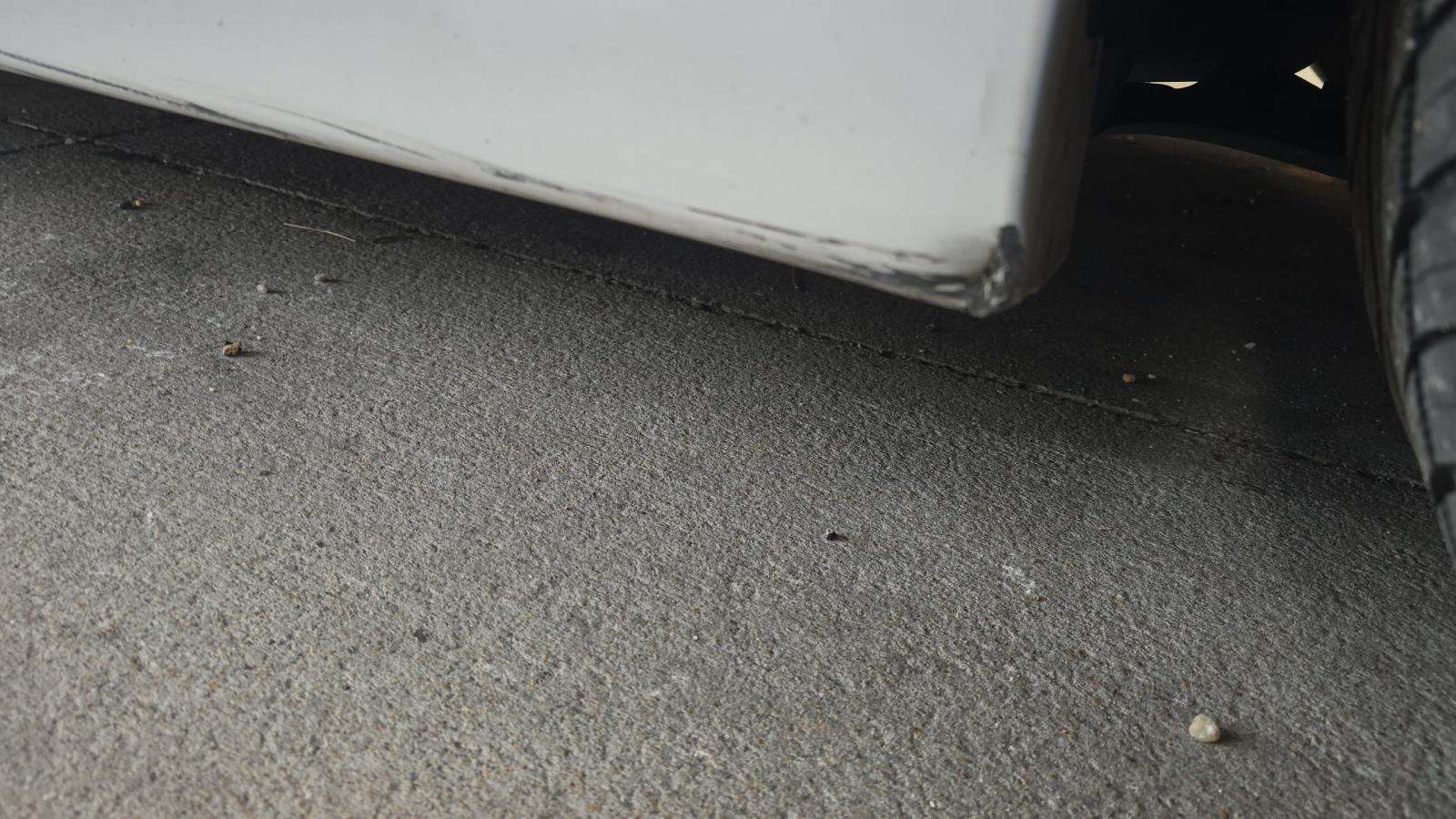 2019 Ford Fusion SE FWD