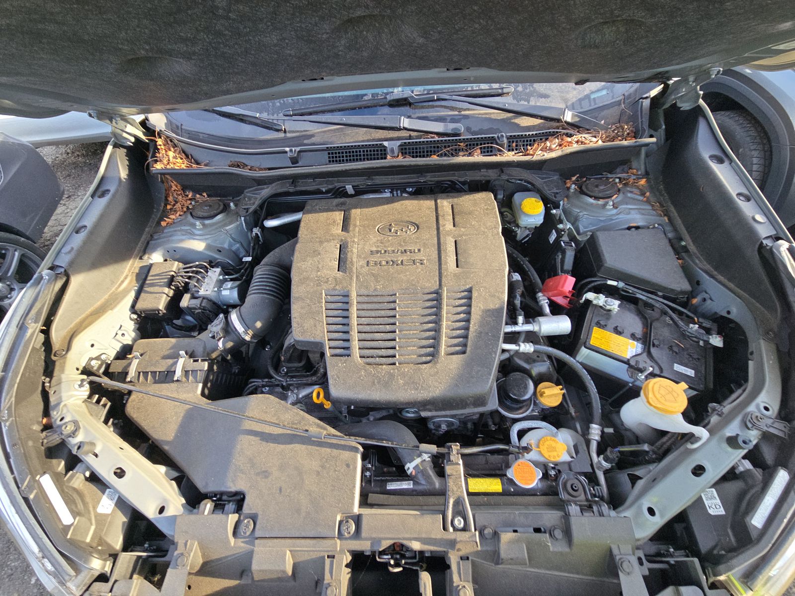 2023 Subaru Forester Premium AWD