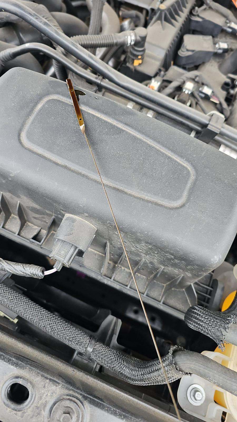 2023 Ford Explorer XLT AWD