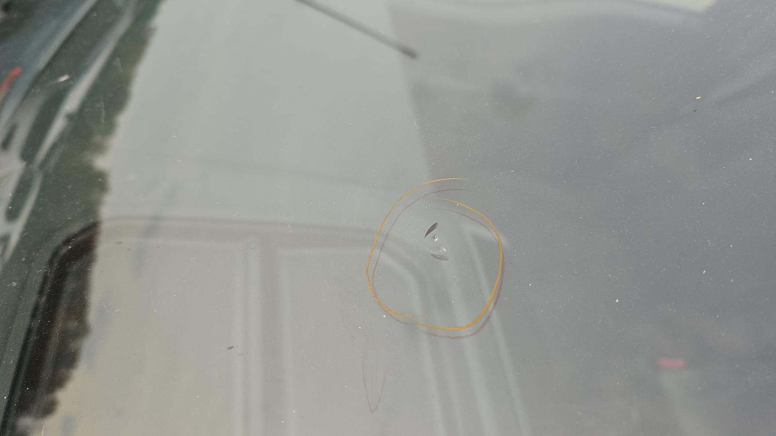 2022 Ford F-150 XL AWD