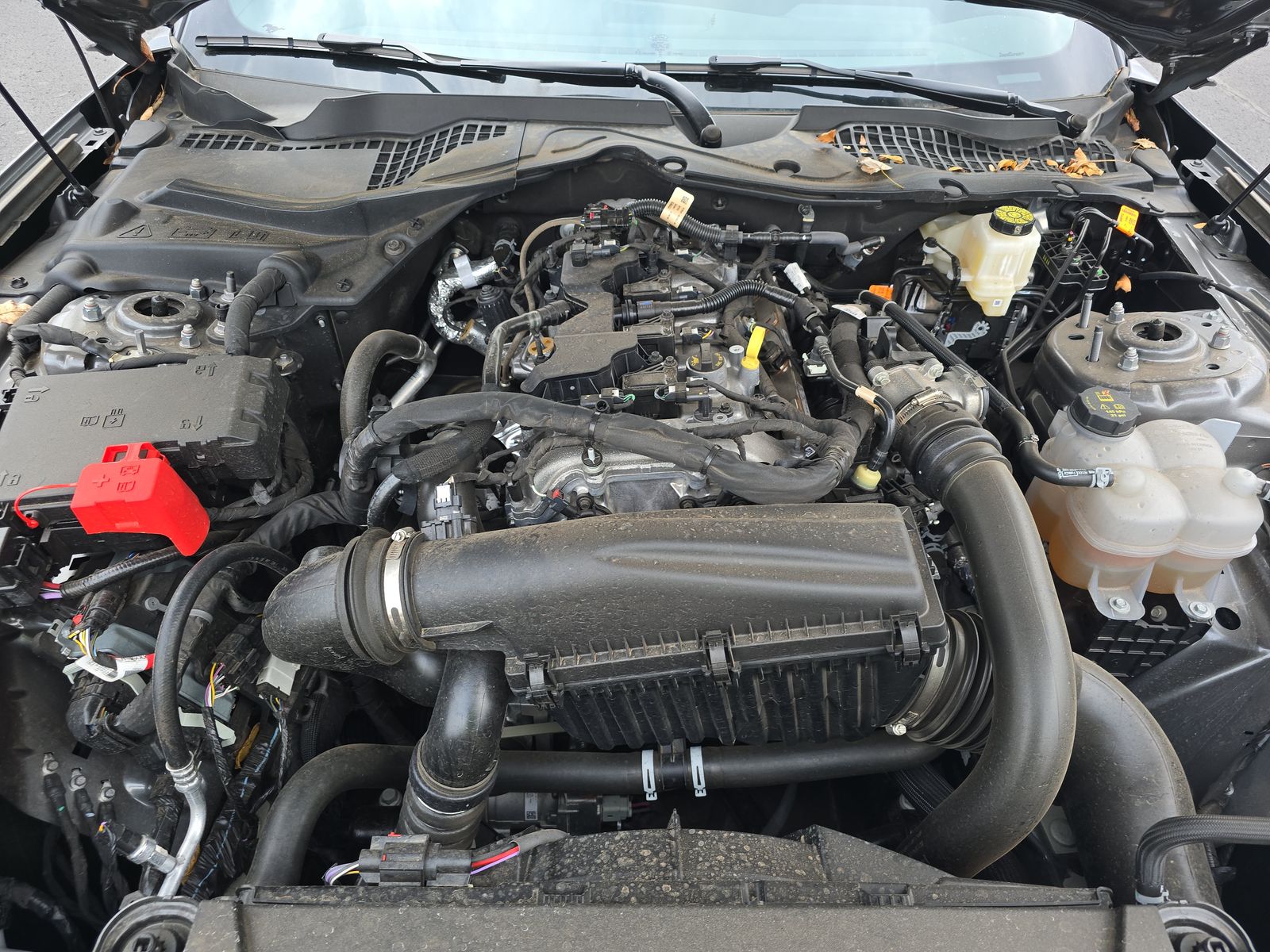 2025 Ford Mustang EcoBoost Premium RWD