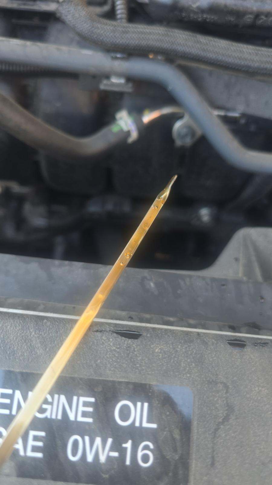 2024 Toyota Sienna LE FWD