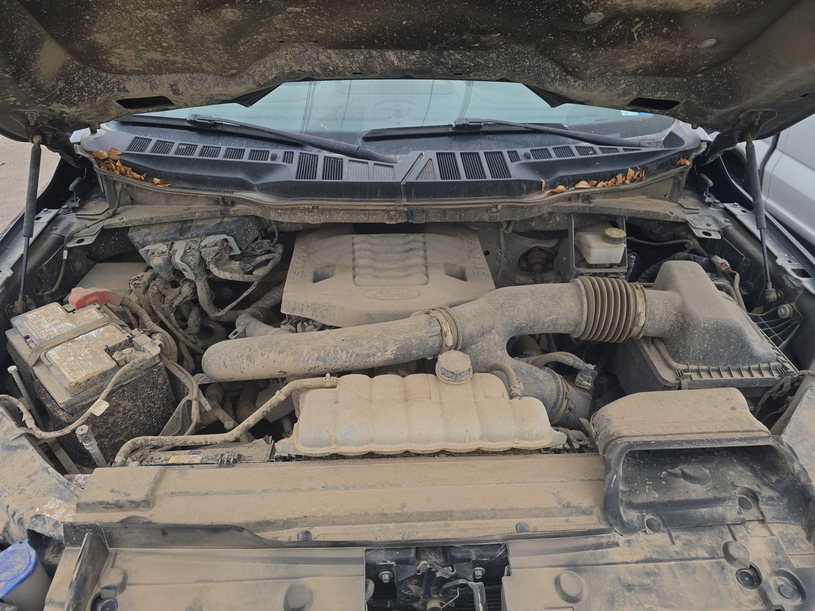 2023 Ford F-150 XLT AWD