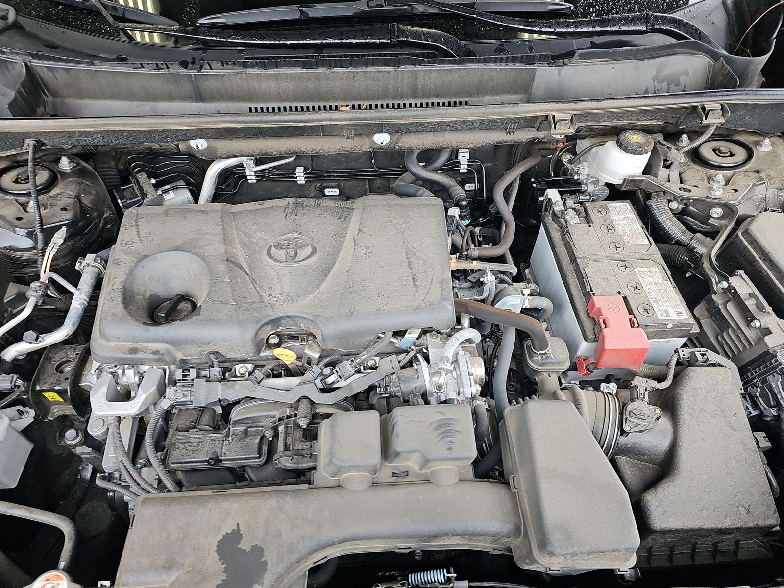 2024 Toyota RAV4 XLE AWD