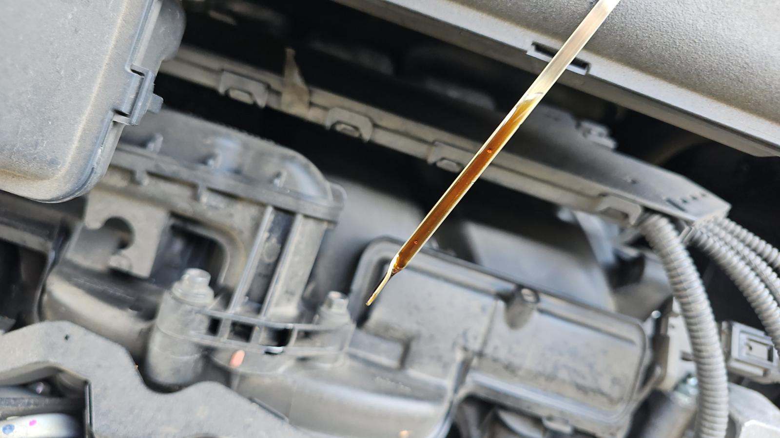 2024 Toyota RAV4 XLE AWD