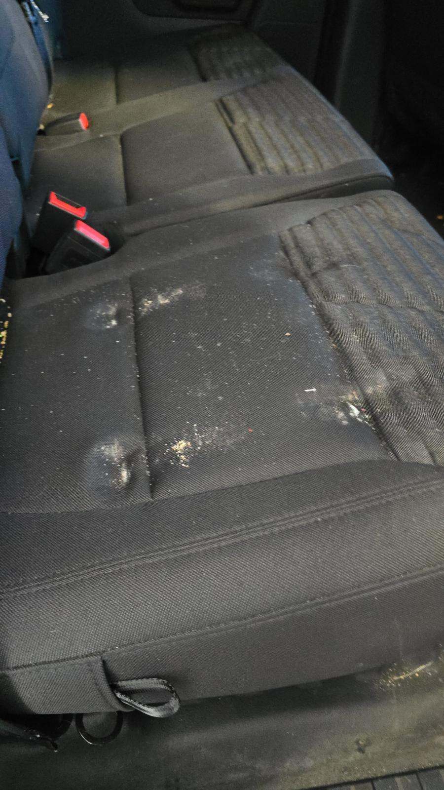 2023 Ford F-150 XL AWD