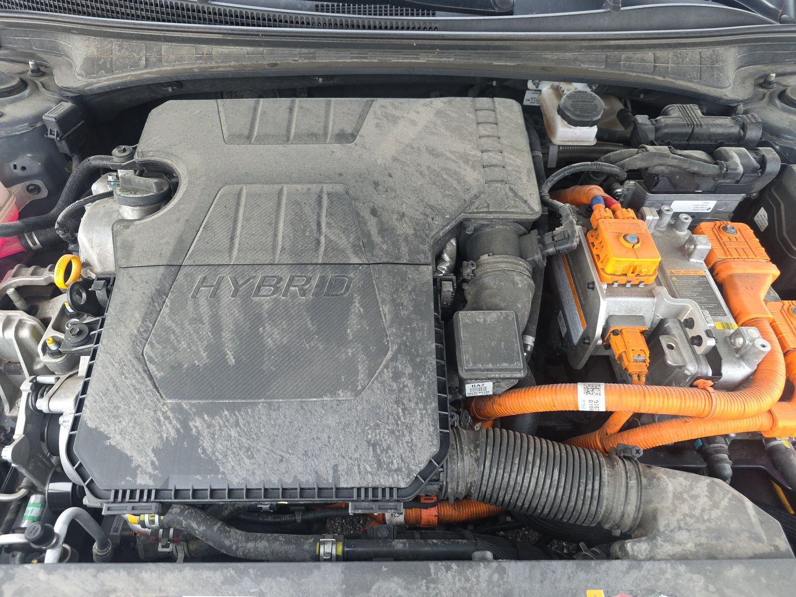 2023 Hyundai Elantra Hybrid Limited FWD