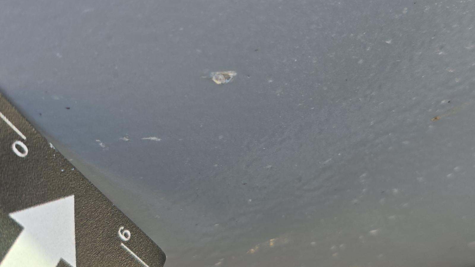 2024 Chevrolet Silverado 1500 LT AWD