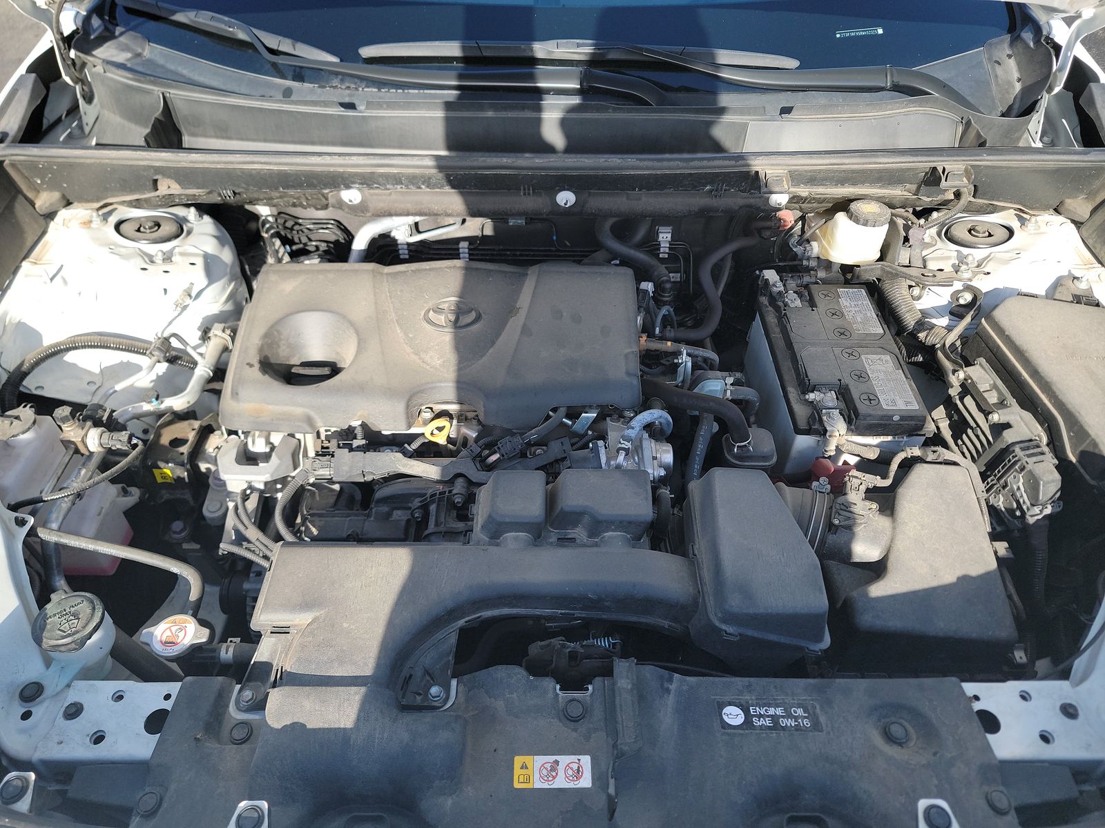 2024 Toyota RAV4 XLE AWD