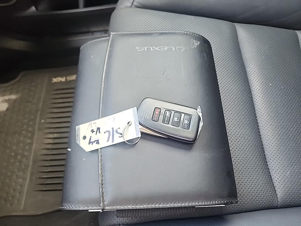 2020 Lexus NX NX 300h AWD